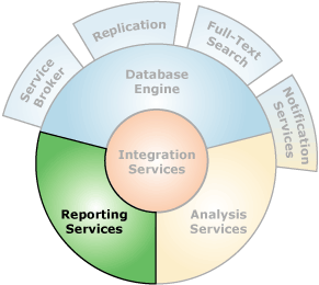Components that interface with Reporting Services