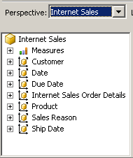 Objects for the Internet Sales perspective