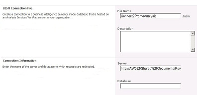 BISM connection page showing URL to workbook