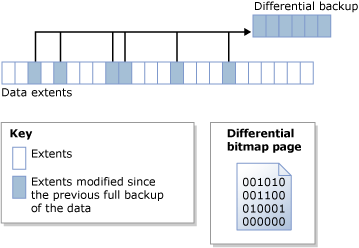 Differential bitmap identifies changed extents