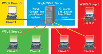 Figure 1 Using a Single Update Server