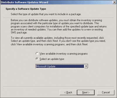 Figure 4 Selecting an Update Type
