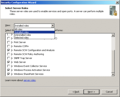 Figure 2 Using SCW to select the roles you want your server to support