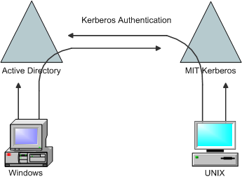 Figure 1.8. End State 5: UNIX and Windows clients using a two-way cross-realm trust to authenticate to Kerberized applications in the opposite realm