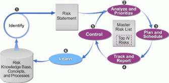 Figure 1.4: The MSF risk management process
