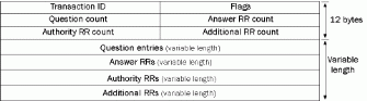 Figure 16-4: Generic DNS query message format.