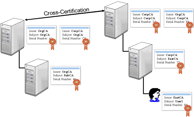 Figure 14: Cross-Certification Structure