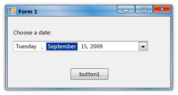 A form with a Label, DateTimePicker, and Button