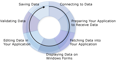 Data Cycle graphic