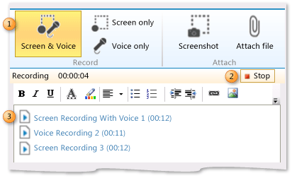 Screen and Voice icon on the Provide page. Stop button. Links to play previous recordings.