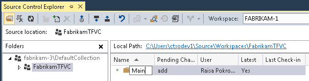 Create the "Main" folder at the team project root
