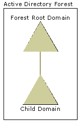 Figure 9: Forest with a root domain and a single global child domain