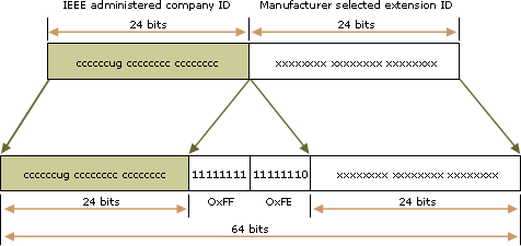 Conversion of IEEE 802 address to EUI-64 address