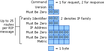 Message Format for RIPA v1
