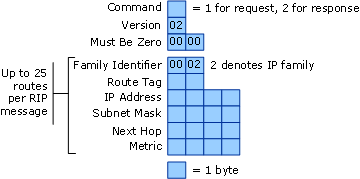 Message Format for RIPA v2