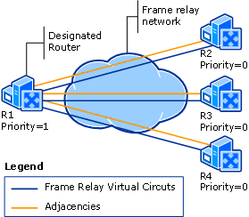 Designated Routers on a Frame Relay Network