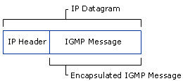 Encapsulated IGMP Message