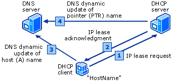 DHCP Client and Server Perform DNS Dynamic Update