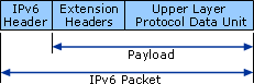Structure of an IPv6 Packet