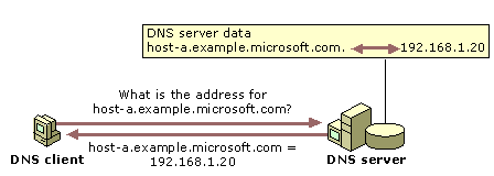 Example of DNS forward lookup