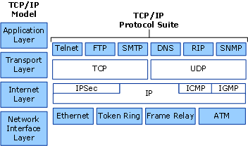 DNS in TCP/IP