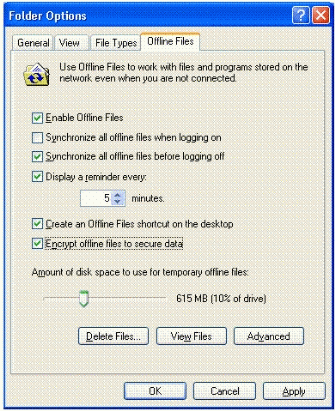 Figure 3: Encrypting the Offline Files Database