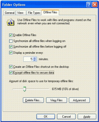 Figure 2: Encrypting the Offline Files database