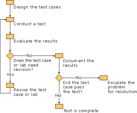 Figure 2. Process for Conducting Test Cases and Resolving Issues
