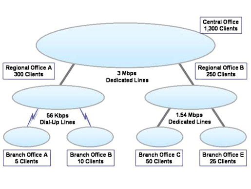 Figure 3. Organization with a Distributed Environment