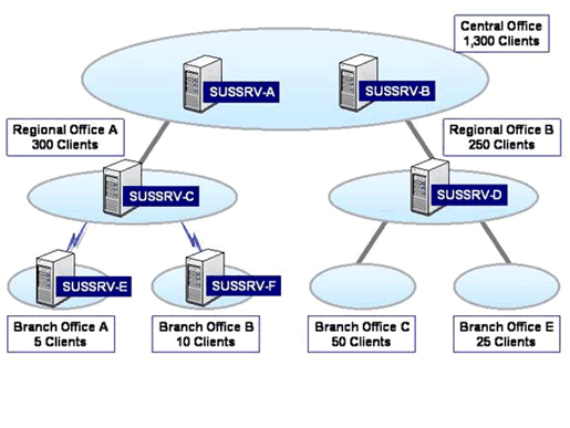 Figure 4. Fictitious Organization’s SUS Infrastructure