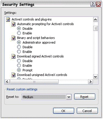 Figure 3.7Internet Explorer security zone settings