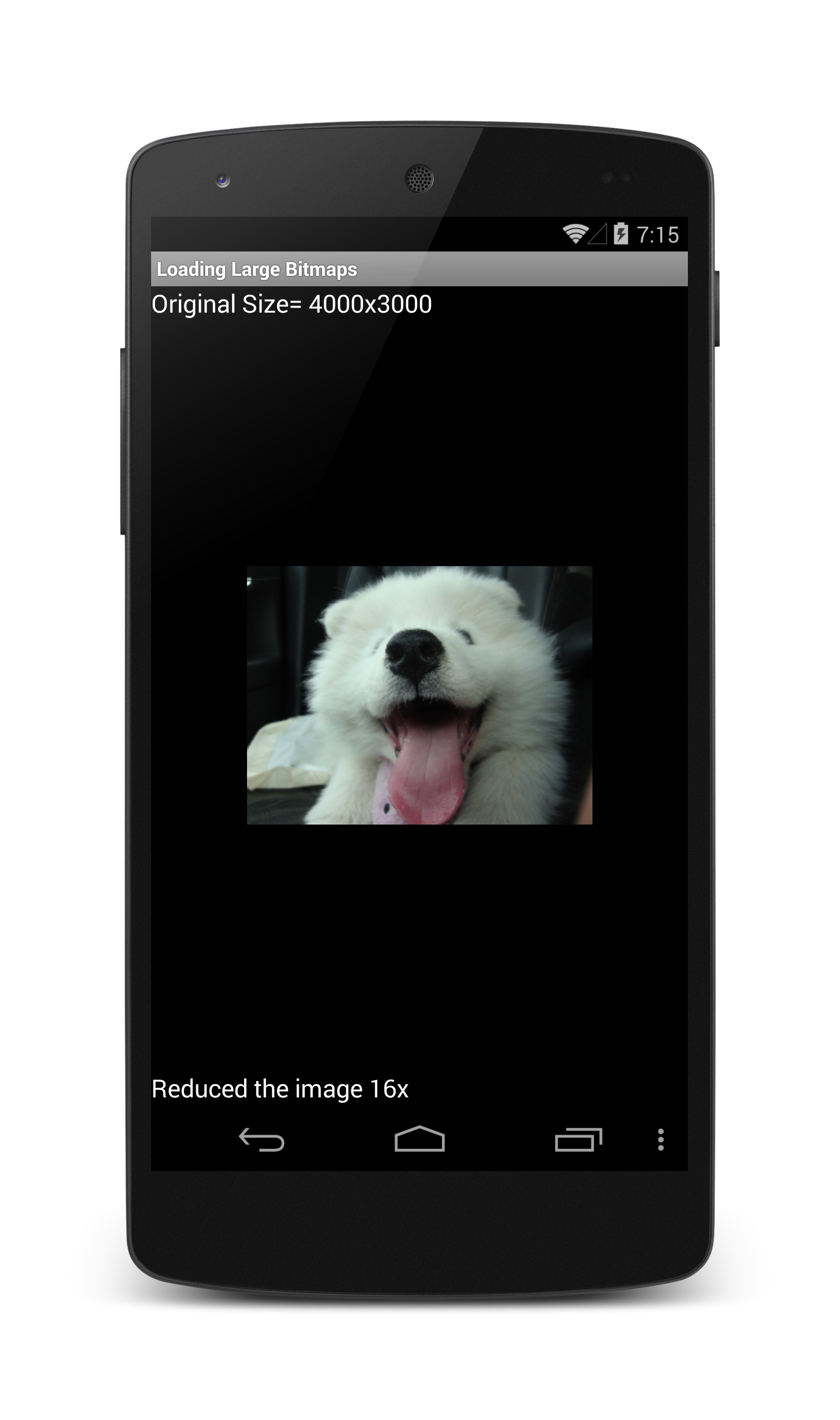 Android app showing an image of a dog