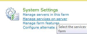 Screenshot of selecting Manage services on server.