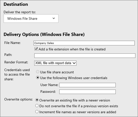 Screenshot showing the Destination and Delivery Options (Windows File Share) sections.