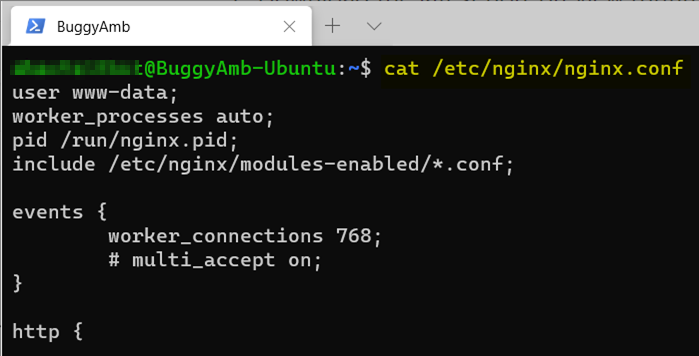 Screenshot of cat command.
