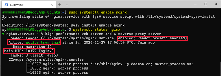 Screenshot of enable command.