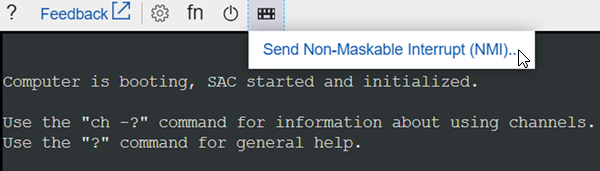 Screenshot of the Send  Non-Maskable Interrupt (NMI) button on the button bar in the Serial Console window.