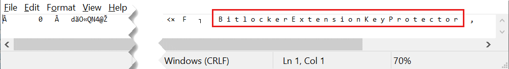 Screenshot of a text file open in notepad, with the words Bitlocker Extension Key Protector highlighted.