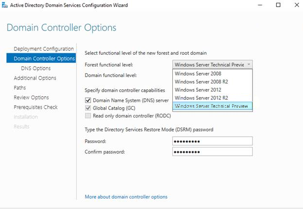Domain Controller Options page shows wrong Windows version.