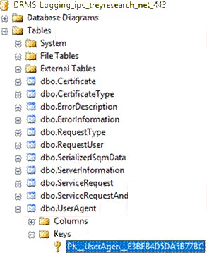 Collect the SQL information about the A D R M S logging database name and Dbo.UserAgent key name.
