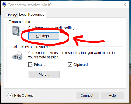 Screenshot of the Settings button emphasized in the Remote audio section.