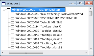 Screenshot of Windows view with the top node expanded.