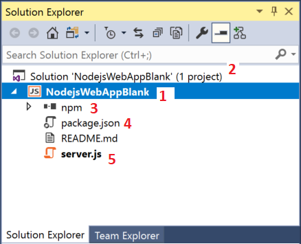 Node.js project in Solution Explorer