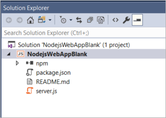 Screenshot showing the Node.js project in Solution Explorer
