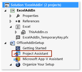 Project Assistant File in Solution Explorer