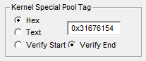 Screenshot showing the effect of clicking Apply in GFlags, displaying the tag as hexadecimal values.