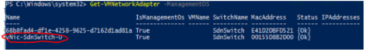 powershell showing vnic that needs to be cleaned up