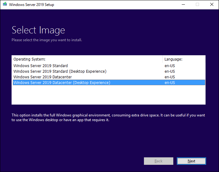 Screen to choose which Windows Server 2019 edition to install