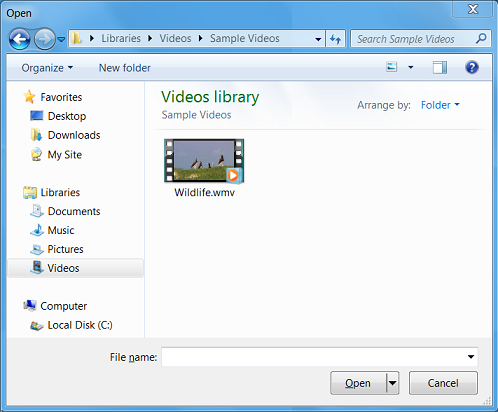 screen shot showing the open dialog box.