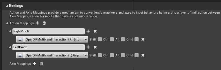 Binding input settings with right and left pinch action mappings highlighted
